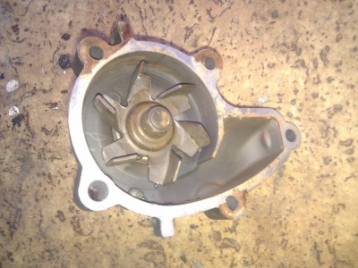 IMG_20121014_173559.jpg (165.81 KiB) Zobrazeno 1650 x IMG_20121014_173559.jpg